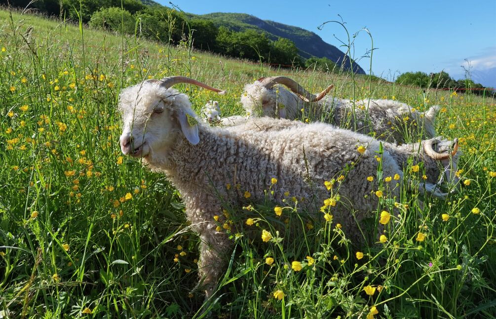 Journée portes ouvertes au Fil du Néron 